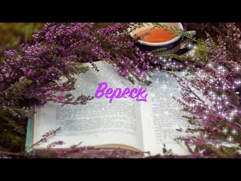 Видео: 🌸🌿 Вереск 🌿🌸