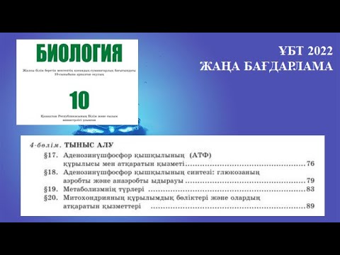 Видео: ТЫНЫС АЛУ КЕЗЕҢДЕРІ | БИОЛОГИЯ 10 СЫНЫП | АДИНОЗИНҮШФОСФАТЫ ҚЫШҚЫЛЫ | тыныс алу тарауы