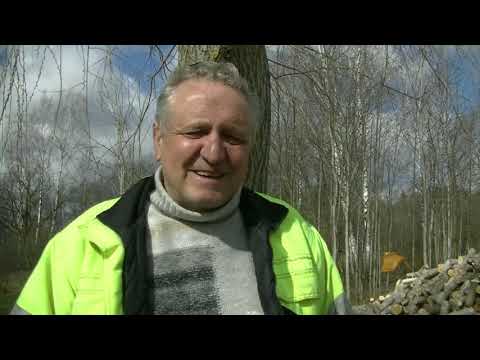 Видео: Дрова -  колем и возим.Отдам рассаду в хорошие руки.