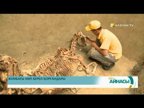 Видео: Жұмбағы көп Берел қорғандары