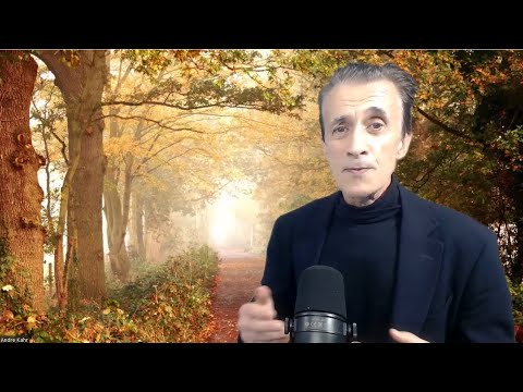 Видео: КОГДА ЗАКОНЧИТСЯ ЭТОТ ОТСТУП?