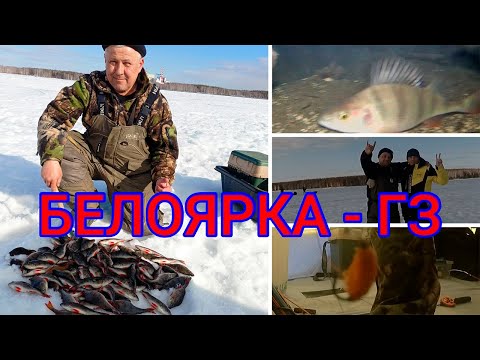 Видео: БЕЛОЯРКА -ГЗ. ОТЧЕТ 21-22.03Ю24