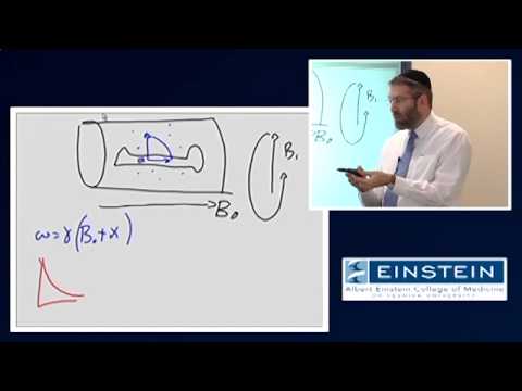 Видео: Введение в МРТ: Введение в магнитную восприимчивость (14 из 56)