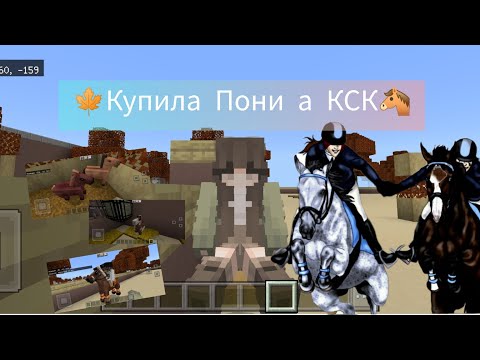 Видео: ❤🐴Купила пони / кто ведёт тренировки в нашем КСК? / Мини влог/🍁😞