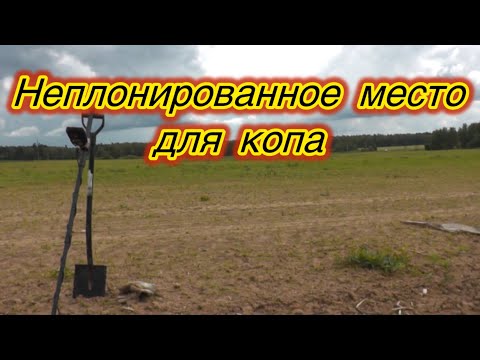 Видео: На этом месте тоже когда-то стояли дома