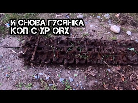 Видео: И снова за Гусянкой! Коп Металла! Часть1. Коп с XP ORX!