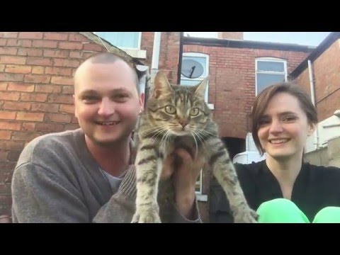 Видео: Время Охуительных Историй Кот-Вертолет. Соседи