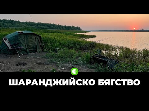 Видео: САМ СРЕД ПРИРОДАТА: Шаранджийско бягство на яз. Горни Дъбник