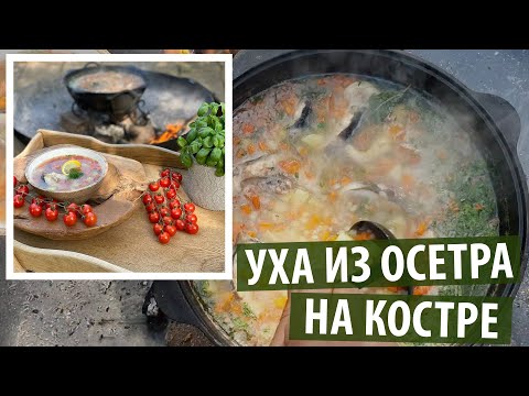 Видео: Уха в казане на костре из осетра