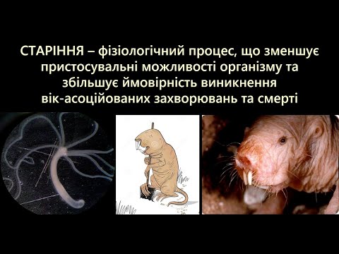 Видео: Старіння: молекулярні механізми. Перша лекція