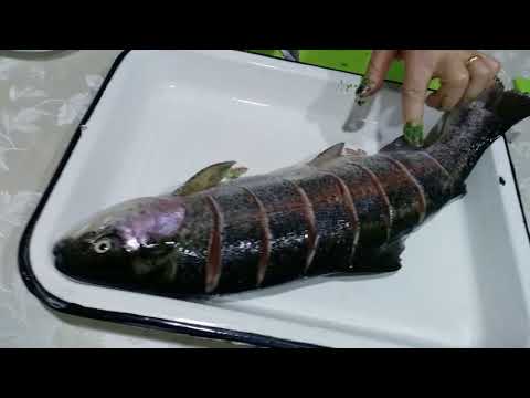 Видео: Իշխան Ձկի Խորոված!!!Шашлык из Форели!!!Skewers of Trout#Cuisine Satenik