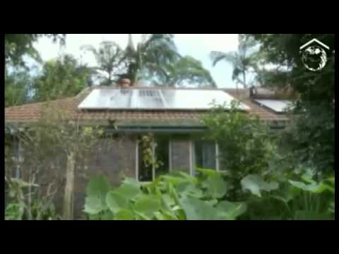 Видео: Введение в пермакультуру