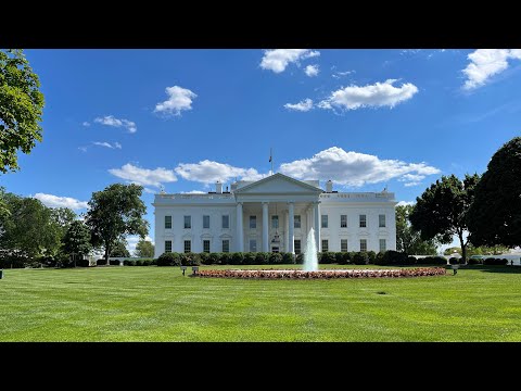 Видео: 🇺🇸Что посмотреть в Вашингтоне за 1 день
