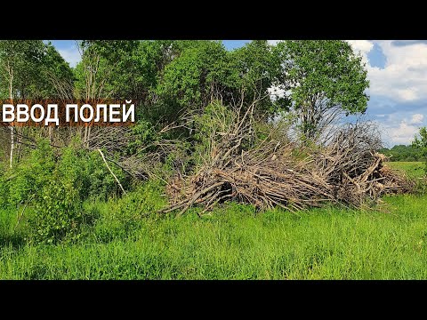 Видео: Ввод новых земель в эксплуатацию. Фермерское хозяйство Дениса Бахарева