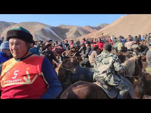 Видео: Тоолостун балбаны Алиш балбан 1тай Ноока. аламан улак