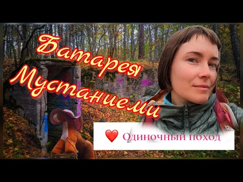 Видео: Одиночный поход к батарее Мустаниеми. Приозерский район.