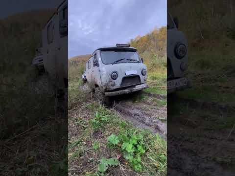 Видео: 16 октября 2025 г.