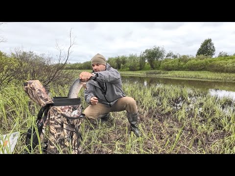 Видео: ОТЛОВИЛСЯ ПО ЩУКЕ НА ОЗЕРЕ. САМАЯ МЕЛКАЯ БЛЕСНА КОСИЛА ЩУКУ ЛЮБЫХ РАЗМЕРОВ. РЫБАЛКА НА СЕВЕРЕ.