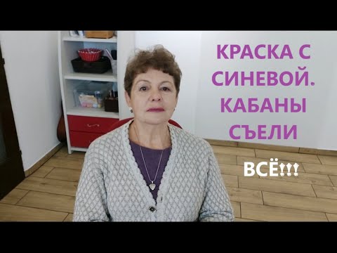 Видео: Краска с холодным оттенком. Хорватская ярмарка.