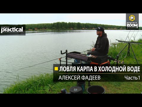 Видео: Ловля карпа в холодной воде. Алексей Фадеев.  Часть 1. Anglers Practical