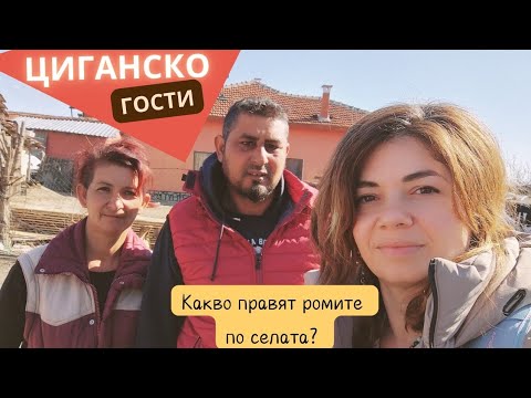 Видео: Другата истина за живота на село: Гости при ромско семейство + Взимам кокошки! 🏡🐓 #Влог