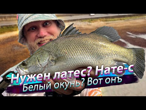 Видео: Настоящий РОКФИШИНГ! Баррамунди берут прям под ногами