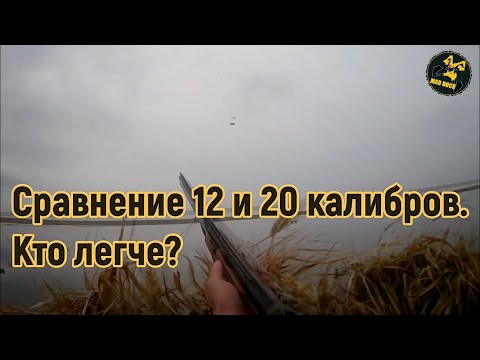 Видео: Что лучше 20 калибр или 12 для охоты. Сраниваем массу и габариты.