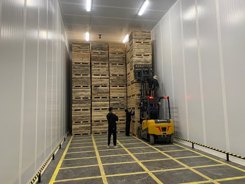 Видео: Фруктохранилище 1200 тонн