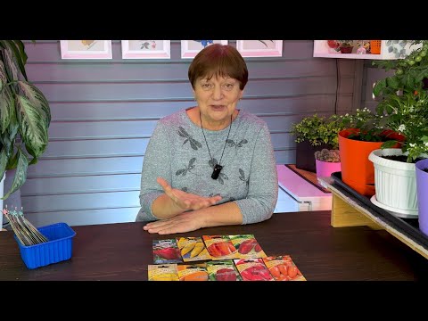 Видео: Семена на 2025 год. Начало.