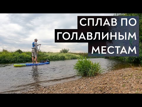 Видео: Спалил все точки на Москва-реке, где ловлю голавлей нахлыстом