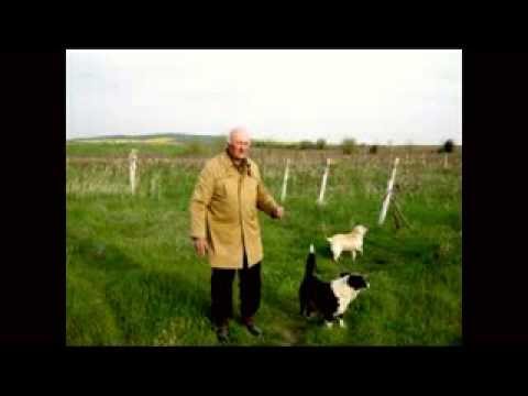 Видео: Бреговчанин твърди, че се е срещал с  извънземни