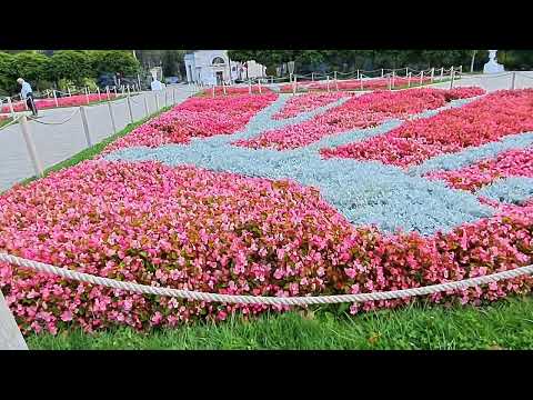 Видео: Прогулка по бульвару               Штефана чел Маре! 🇲🇩