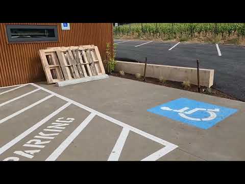 Видео: Четыре года не ставили пчел Американцу Стиву а в том году позвонил попросил поставить на клевер