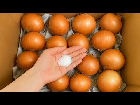 Видео: Как хранить лук свежим в течение длительного времени, о чем большинство людей не знают