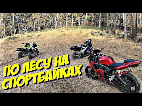 Видео: Это вообще нормально? По лесу на спортбайках!