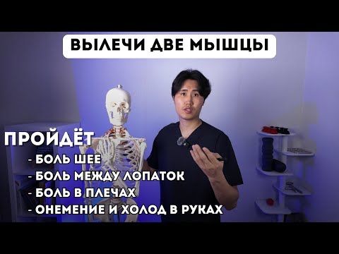 Видео: ВЫЛЕЧИ ДВЕ МЫШЦЫ. Пройдёт боль шее, боль между лопаток, боль в плечах, онемение и холод в руках.