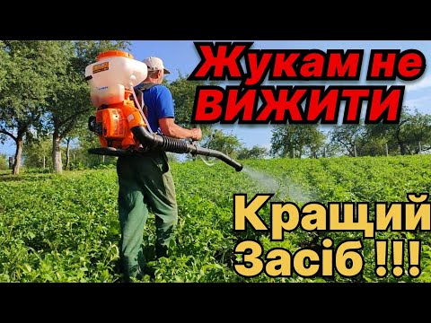 Видео: Кращий засіб від Колорадського жука!!! Мотооприскувач в поміч.