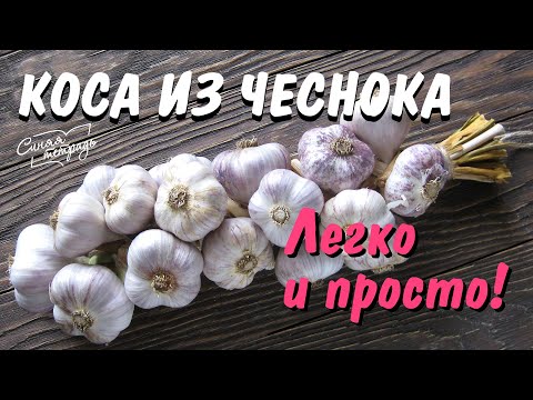 Видео: КОСА из ЧЕСНОКА / Легко и просто!