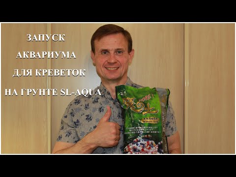 Видео: Запуск аквариума для креветок на грунте SL-Aqua