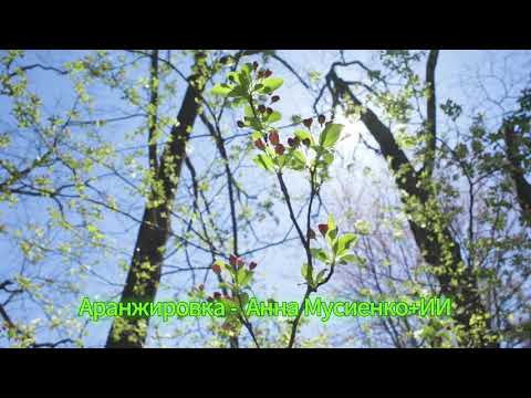 Видео: ВОЗВРАЩЕНИЕ