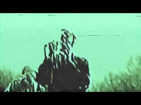 Видео: Molchat Doma - Volny / Молчат Дома - Волны (Music Video)