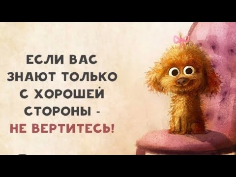 Видео: Советы от ненорда. PnC Puzzles & Conquest.