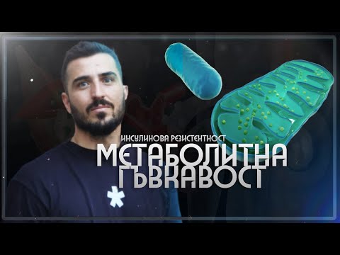 Видео: Открийте тайната на инсулиновата резистентност