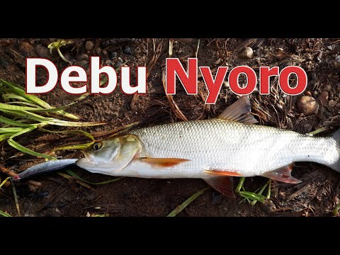 Видео: Debu Nyoro для жереха - 1-0 в мою пользу. Продолжаем )