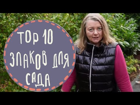 Видео: ТОП 10 - самых любимых и не любимых злаков