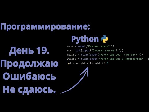 Видео: Программирование: Python. День 19.  Преодолевая трудности, мы приближаемся к цели!