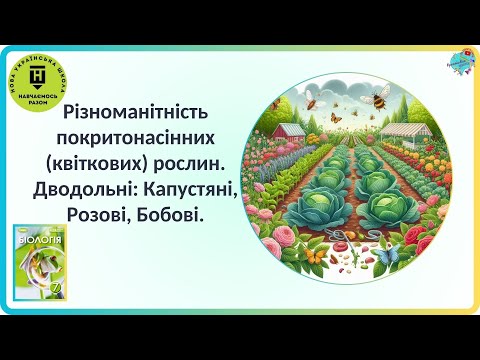 Видео: Різноманітність покритонасінних (квіткових) рослин. Дводольні: Капустяні, Розові, Бобові.