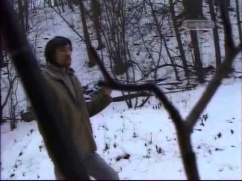 Видео: Городские легенды. Москва. Усадьба Коломенское.