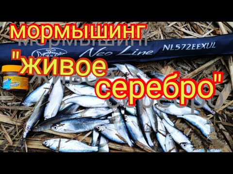 Видео: Мормышинг.Уклейка на спиннинг.Neoline 0.1-2.