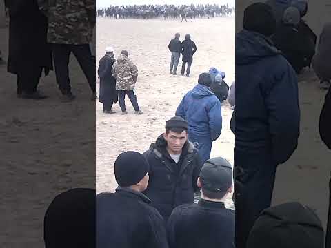 Видео: баткен аламан улак